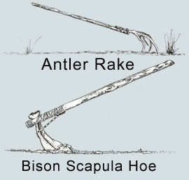 Antler Rake and Bison Scapula Hoe