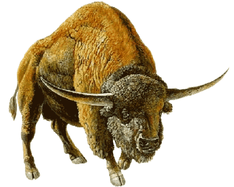 Giant Bison